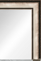 Зеркало 36.5825.22 — фото 2
